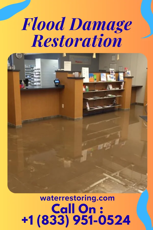 Flood Damage Restoration in Ashley, IN