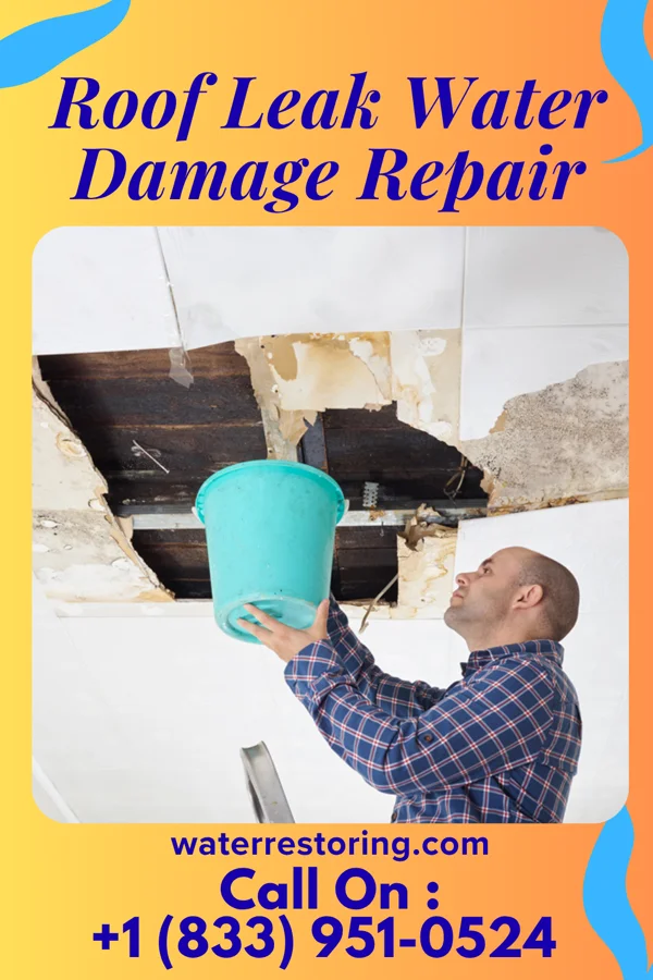 Roof Leak Water Damage Repair in Ashley, IN